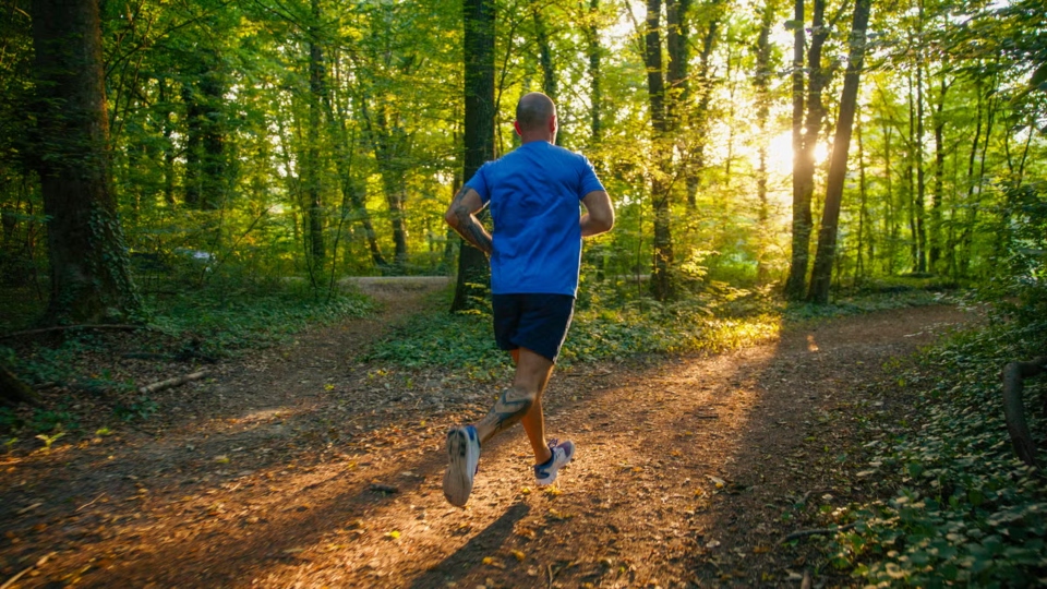 Why Long Runs Feel Therapeutic